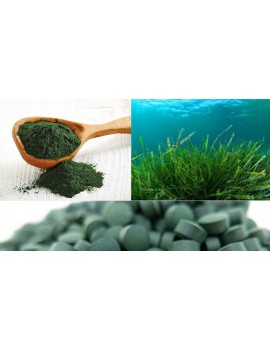 Spirulina in Compresse BIOLOGICA prendi 3 paghi 1 spedizione