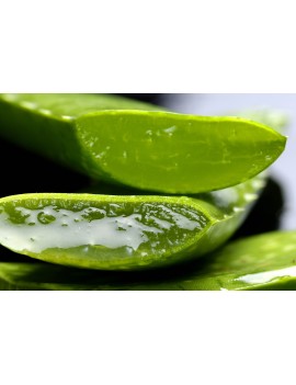 Aloe vera in fette ( spedizione gratuita ) 250gr - Ciaoone