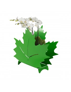 Maple Leaf portariviste