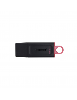 Kingston DataTraveler Exodia 256GB USB 3.2 - Ciaoone