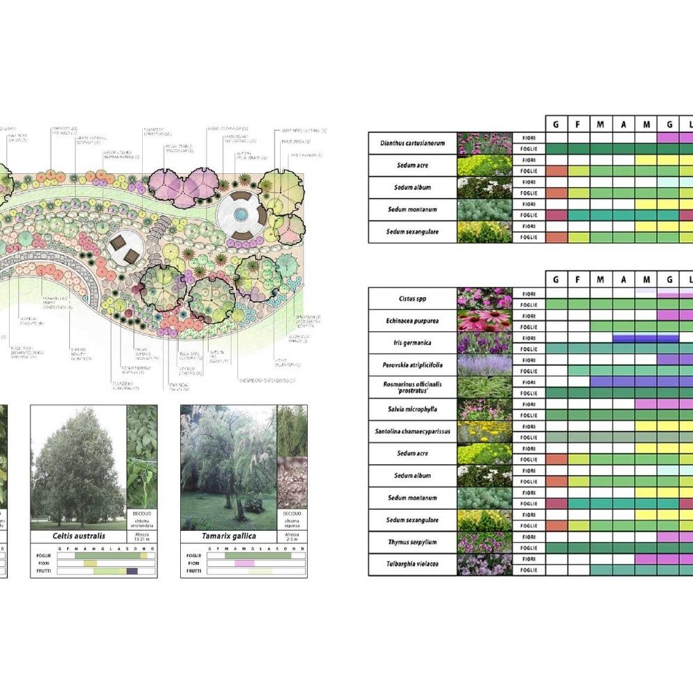 Corso La progettazione del Verde - Ciaoone